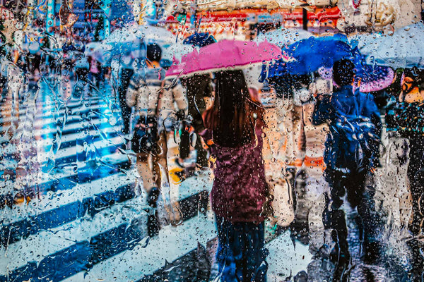Rainy days in Tokyo II