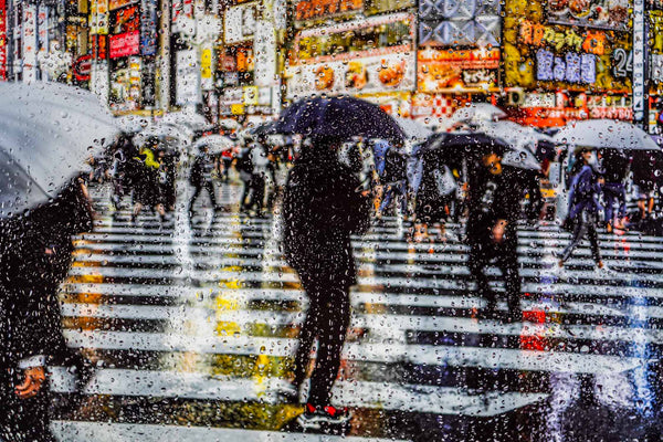Rainy days in Tokyo V