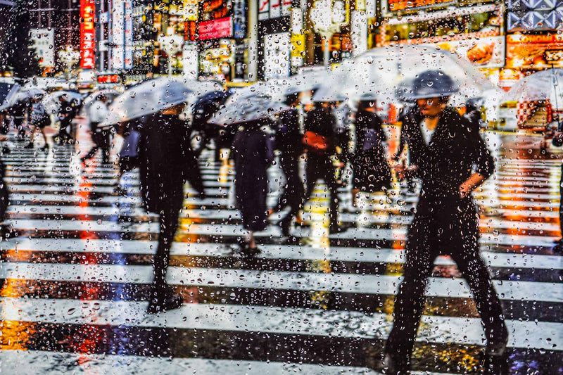 Rainy days in Tokyo VI