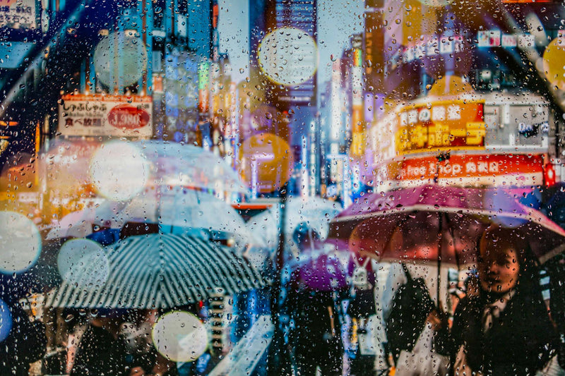 Rainy days in Tokyo VII