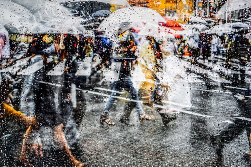 Rainy days in Tokyo XII