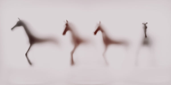 WILD LENS - Horses III