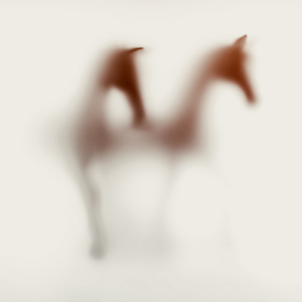 WILD LENS - Horses XV